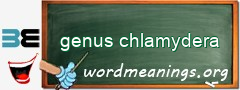 WordMeaning blackboard for genus chlamydera
